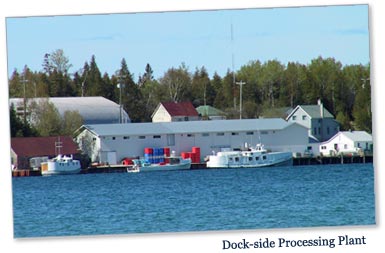 Photo: Dock-side Processing Plant