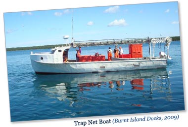 Photo: Trap Net Boat (Burnt Island docks, 2009)